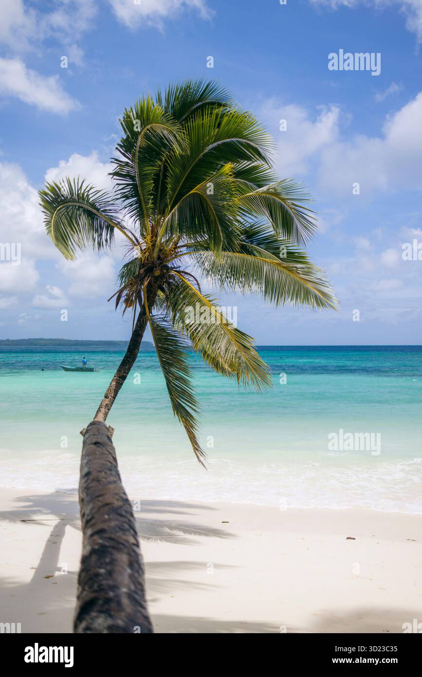 Eine einsame Palme lehnt sich über einen unberührten, weißen Sandstrand mit türkisfarbenen Meereswellen. Pantai kelapa in Kei Kecil im Südosten von Maluku, Indonesien Stockfoto