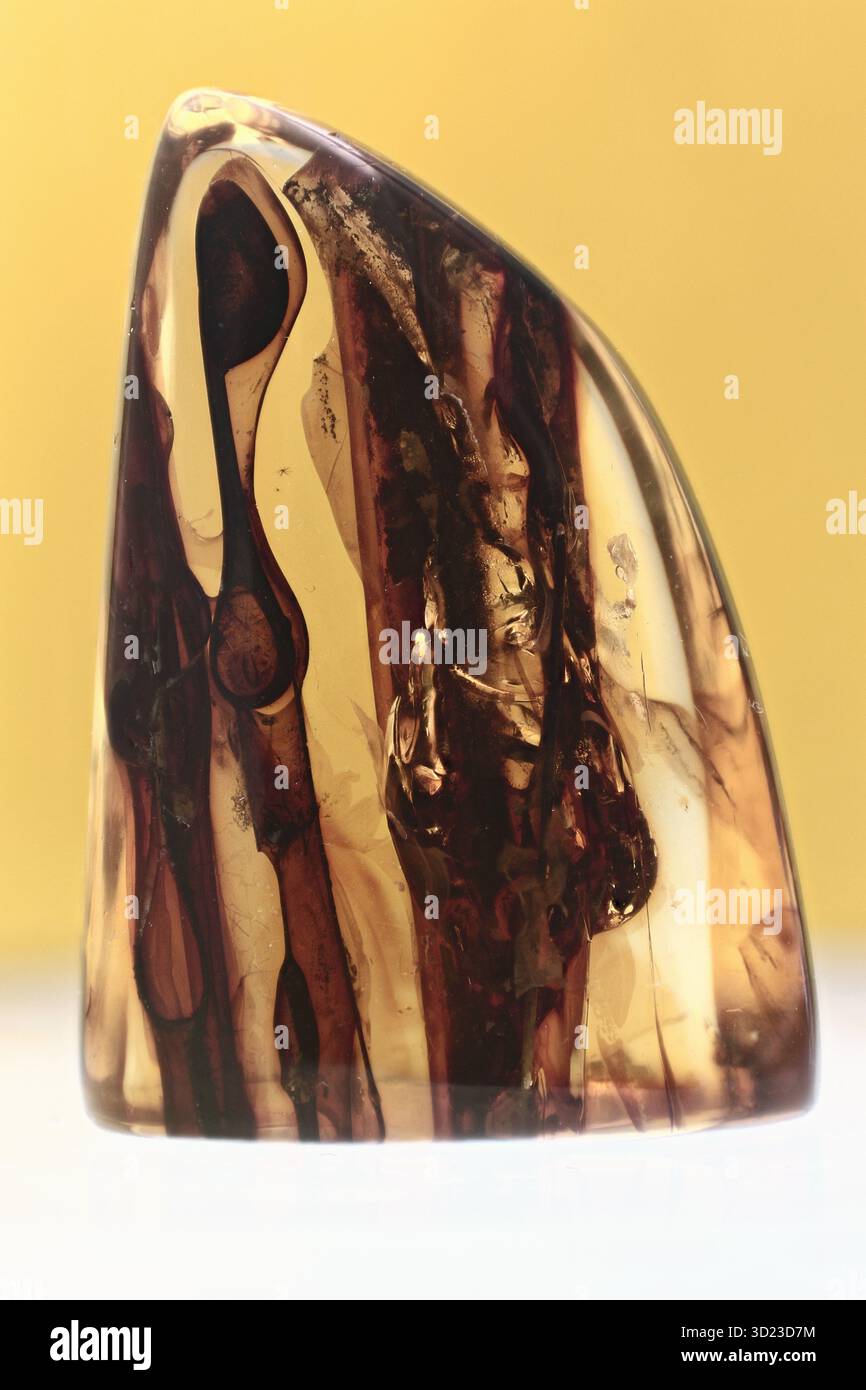 Poliertes baltisches Bernsteinstück mit sichtbaren stalaktithartigen Formationen innen, detailliertes Makro aus Naturharz mit eleganten Mustern Stockfoto