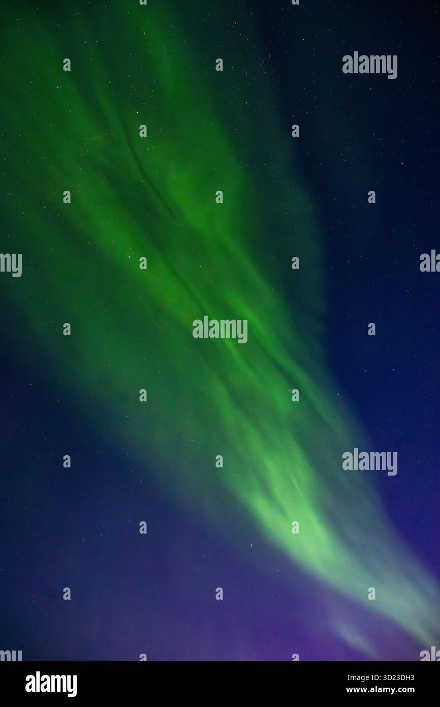 Leuchtend grüne aurora Borealis Lichter, die in einem dunklen Nachthimmel schwirren. Hudson Bay, Churchill, Manitoba, Kanada Stockfoto