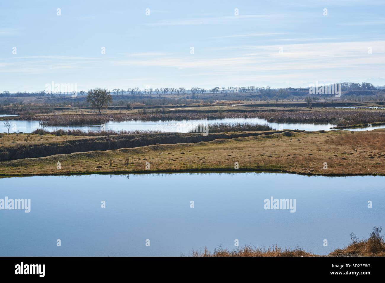 Ruhige Feuchtlandschaften mit ruhigen Wasserspiegeln und weit entfernten Bäumen Stockfoto