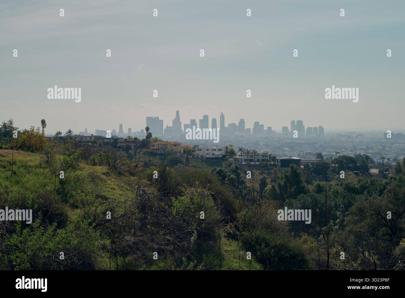 Entfernte Skyline von Los Angeles unter trübem blauen Himmel mit grüner Landschaft im Vordergrund. Kalifornien, USA Stockfoto