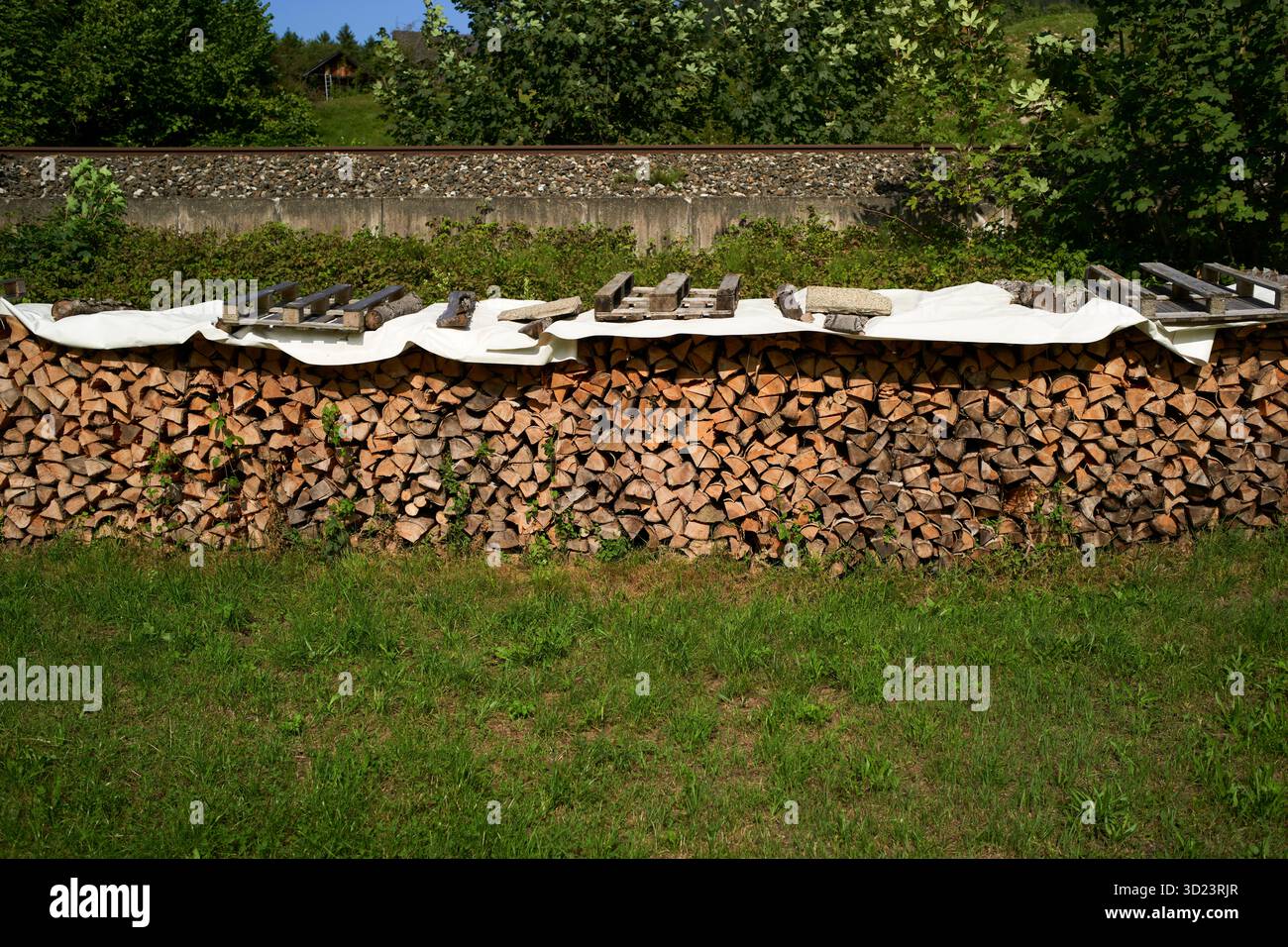 Ein großer Stapel Brennholz, ordentlich auf Gras gestapelt, mit einer weißen Abdeckung und Holzdielen oben. Salzkammergut, Salzdomäne, Dachsteingebirge, Österreich Stockfoto
