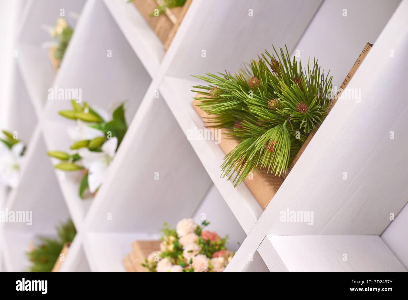 Stilvolles weißes Regal mit grünen Pflanzen und minimalistischer Einrichtung in modernem Stil Stockfoto