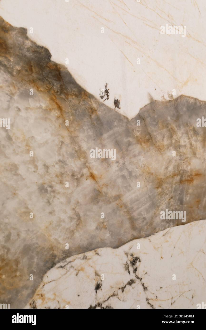 Einzigartiger Marmor mit natürlichen Mustern, die an Berge und Bäume erinnern, findet sich in einer modernen Inneneinrichtung Stockfoto