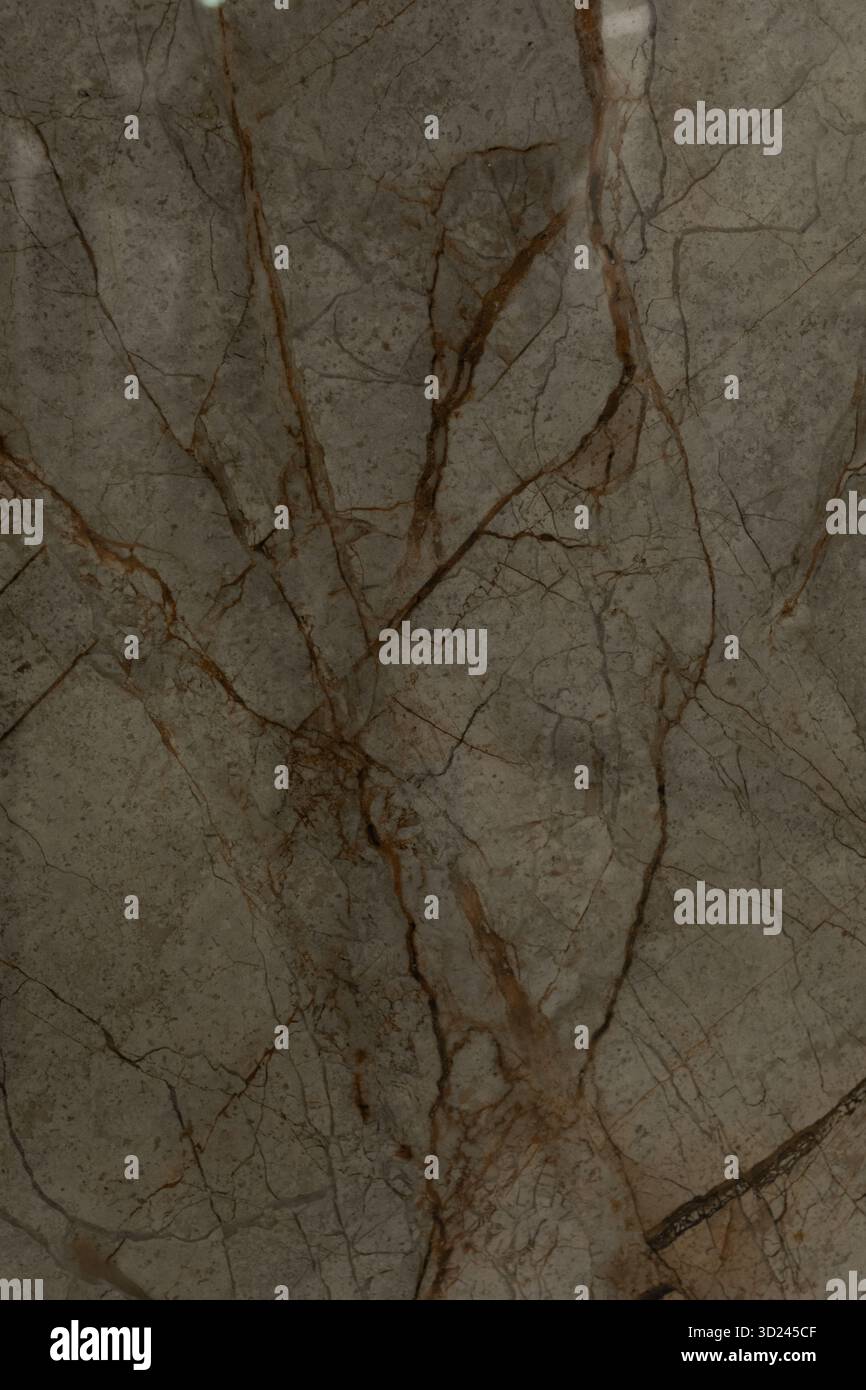 Die Oberfläche des Natursteins zeichnet sich durch komplexe Muster und Texturen aus, die gedämpfte Töne und feine Adern kombinieren Stockfoto