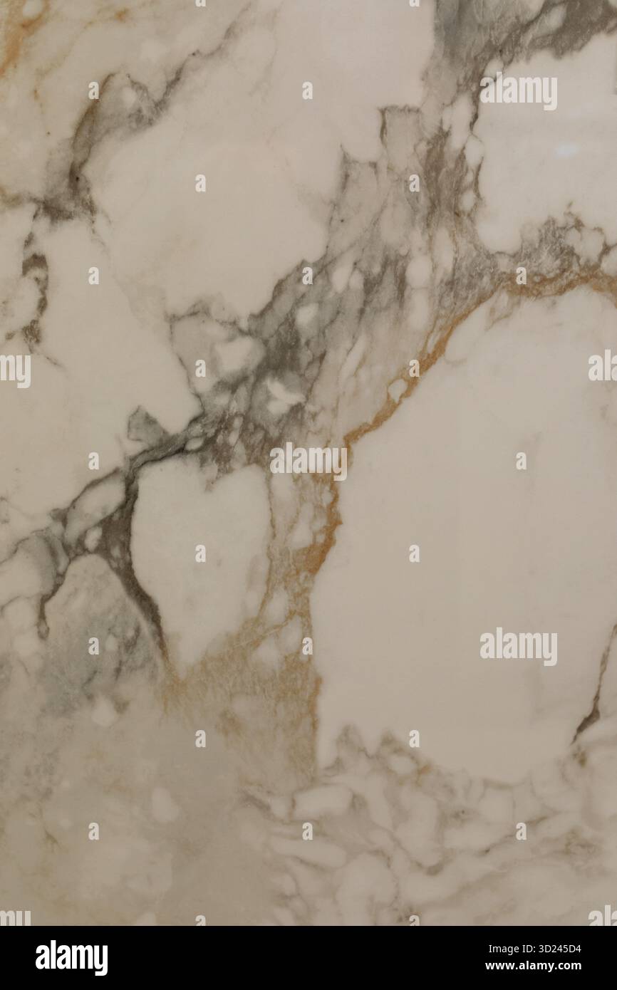 Elegante Marmoroberfläche mit komplexen natürlichen Mustern und Texturen in gedämpften Tönen Stockfoto