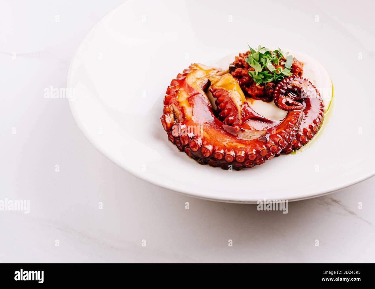 Gegrillter Tintenfisch, serviert auf einem weißen Teller mit frischen Kräutern und Sauce Stockfoto