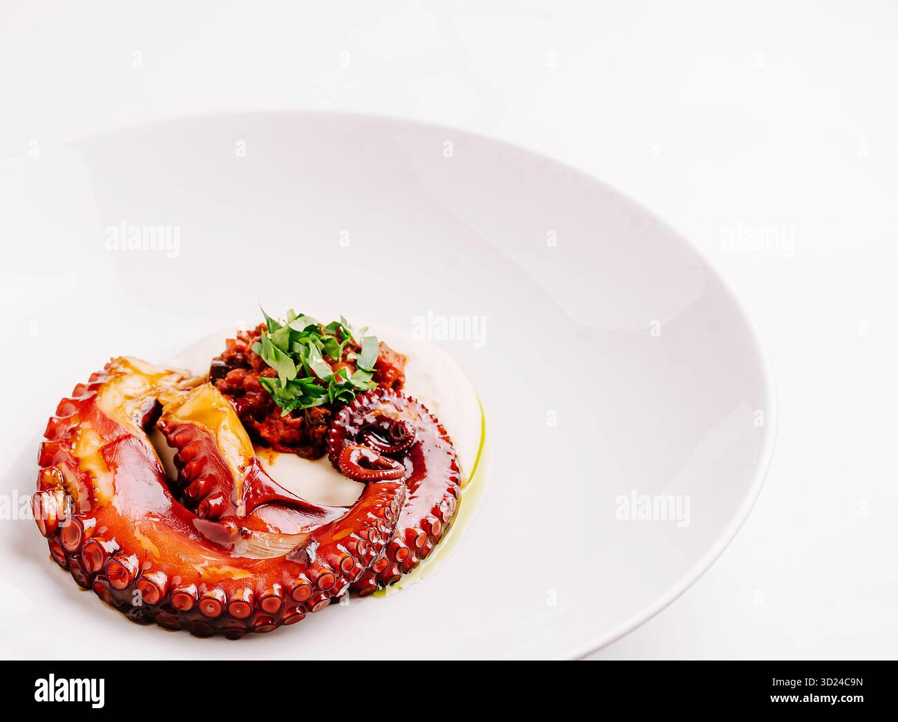 Gegrillter Tintenfisch, serviert auf Teller mit Sauce und Kräutern Stockfoto