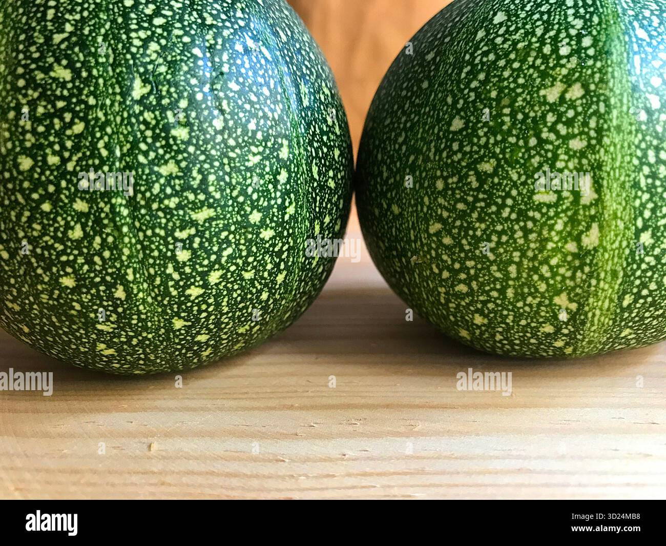 Zwei runde Zucchini. Ansicht schließen. Stockfoto