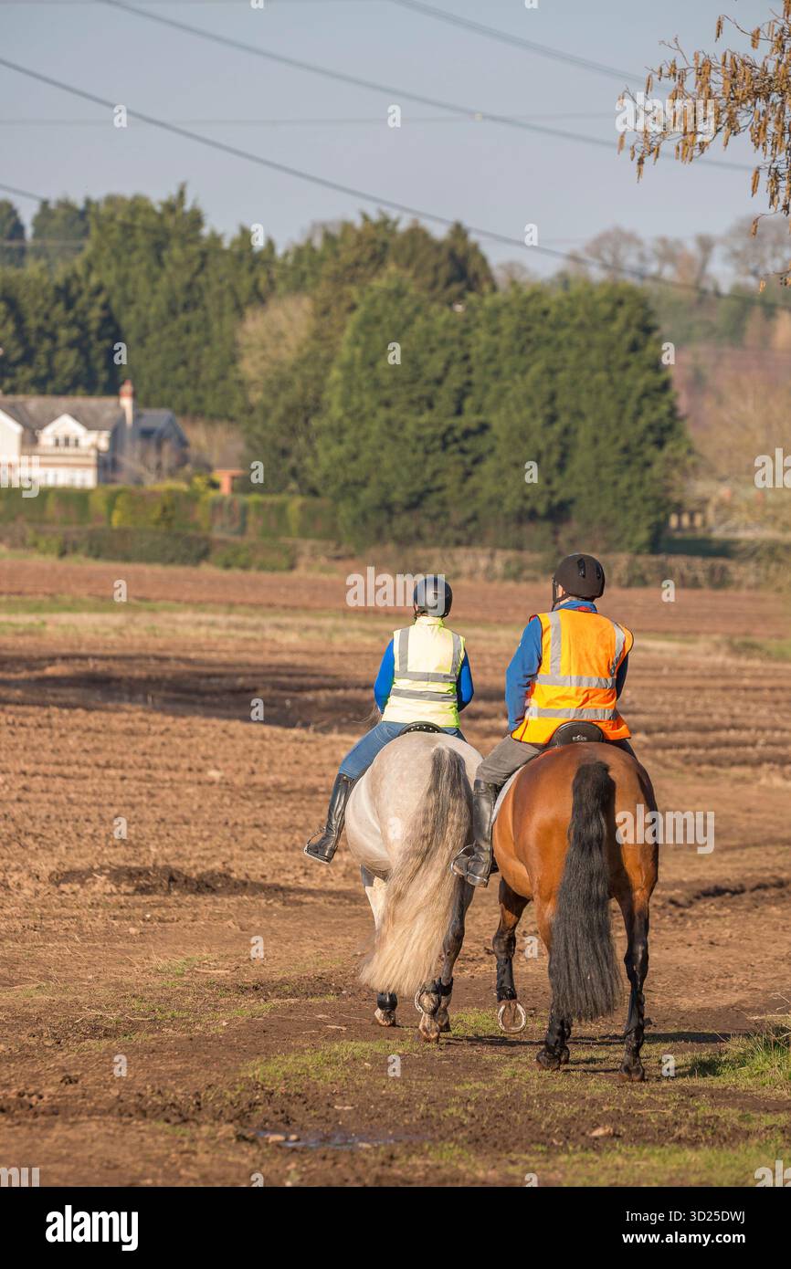 Rückansicht zweier Reiter auf Pferden, die auf einem Farmfeld mit gut sichtbaren Jacken reiten. Stockfoto