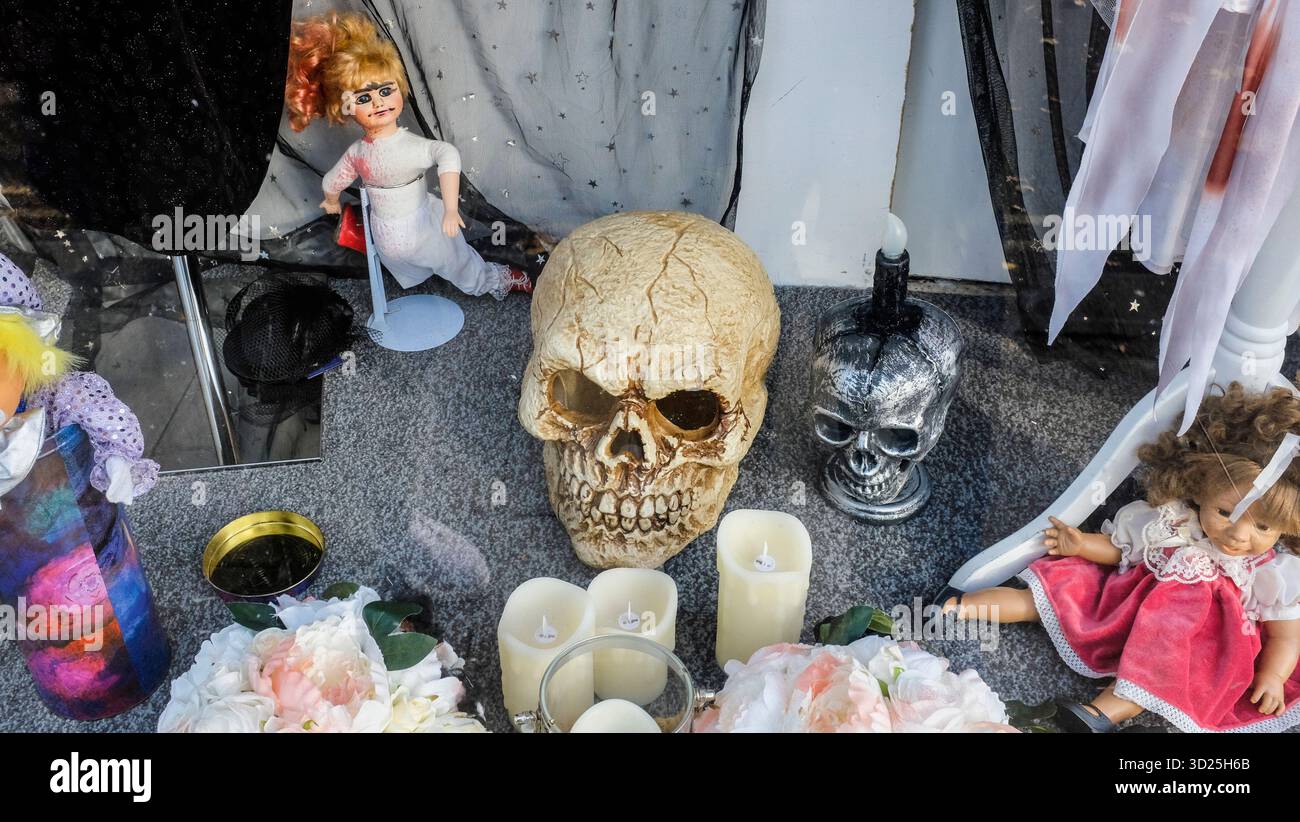 Halloween-Zeit in den Wohltätigkeitsläden in Norton on Tees, England, Großbritannien und das Schaufenster zeigt zwei Schädel Stockfoto