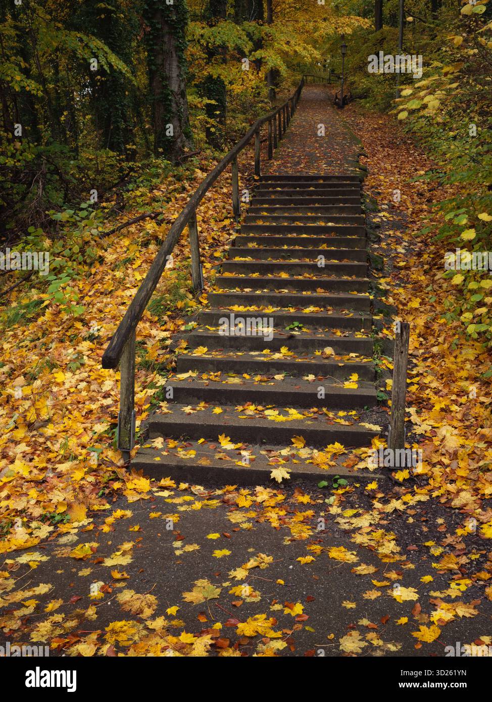 Die Herbsttreppe ist bedeckt, entlang eines ruhigen Forest Park Pathway mit verblassendem Licht Stockfoto