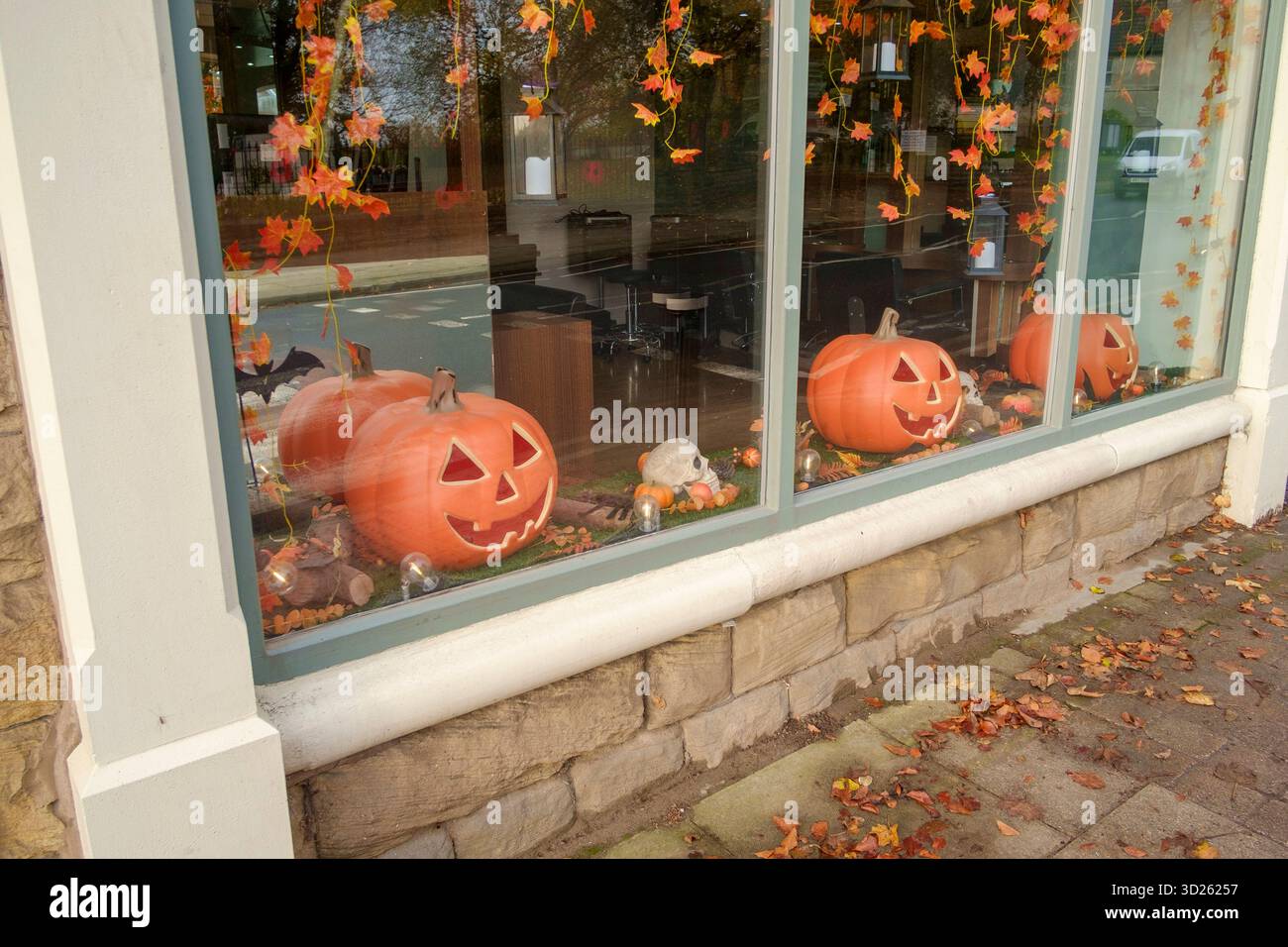 Kürbisse für halloween in einer Schaufensterausstellung. Stockfoto