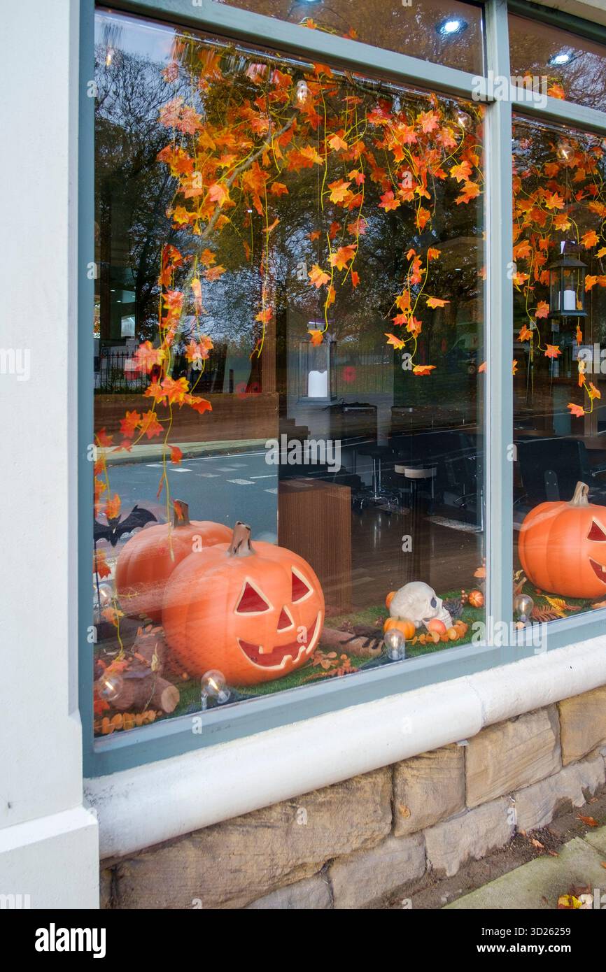 Kürbisse für halloween in einer Schaufensterausstellung. Stockfoto