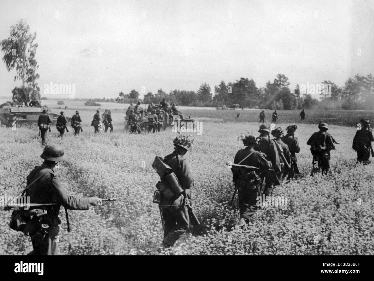 RUSSLAND - August 1941 - Deutsche Infanterie und Panzereinheiten dringen während der Invasion im Sommer 1941 während des Zweiten Weltkriegs durch Rapsfelder an der Ostfront irgendwo in Russland vor. Zu den Soldaten gehören ein Panzerwagen SdKfz 251, ein Panzer PzKpfw II (Mitte) und ein Soldat mit Panzerbuchse PZB 39 (links) - Foto: Geopix/Fritz Meyer Stockfoto