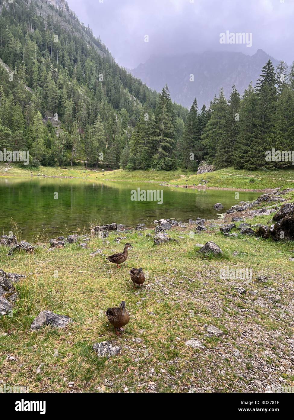 Malerischer Blick auf den Pragser Lago - Smartphone-aufgenommenes Stockfoto