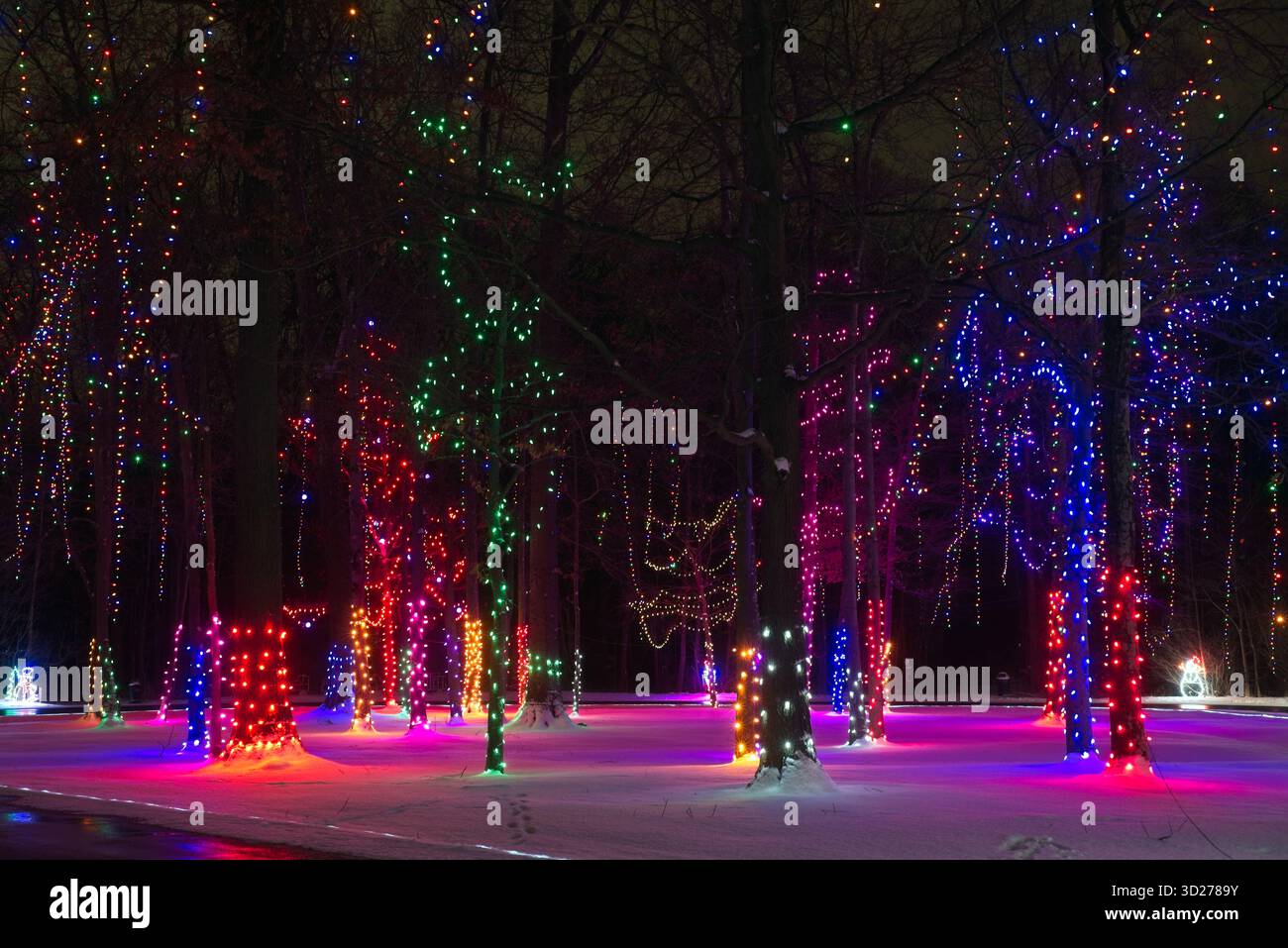 Farbenfrohe Weihnachtsbeleuchtung in einem Stadtpark im Nordosten von Ohio Stockfoto