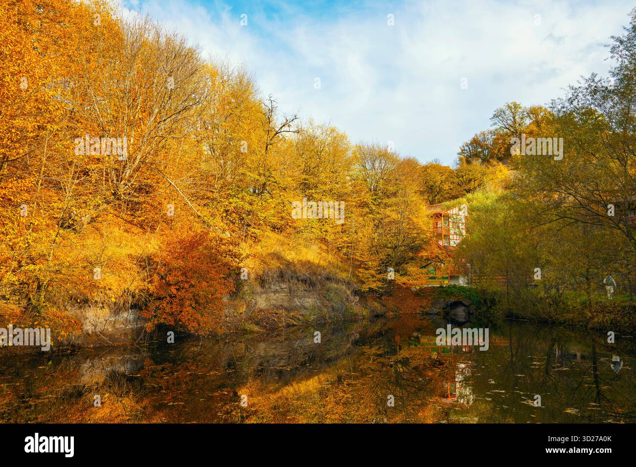 Das Bild fängt einen ruhigen und friedlichen Herbsttag mit einem wunderschönen Teich voller Blätter und einem Haus im Hintergrund ein. Die Bäume um den Pon herum Stockfoto
