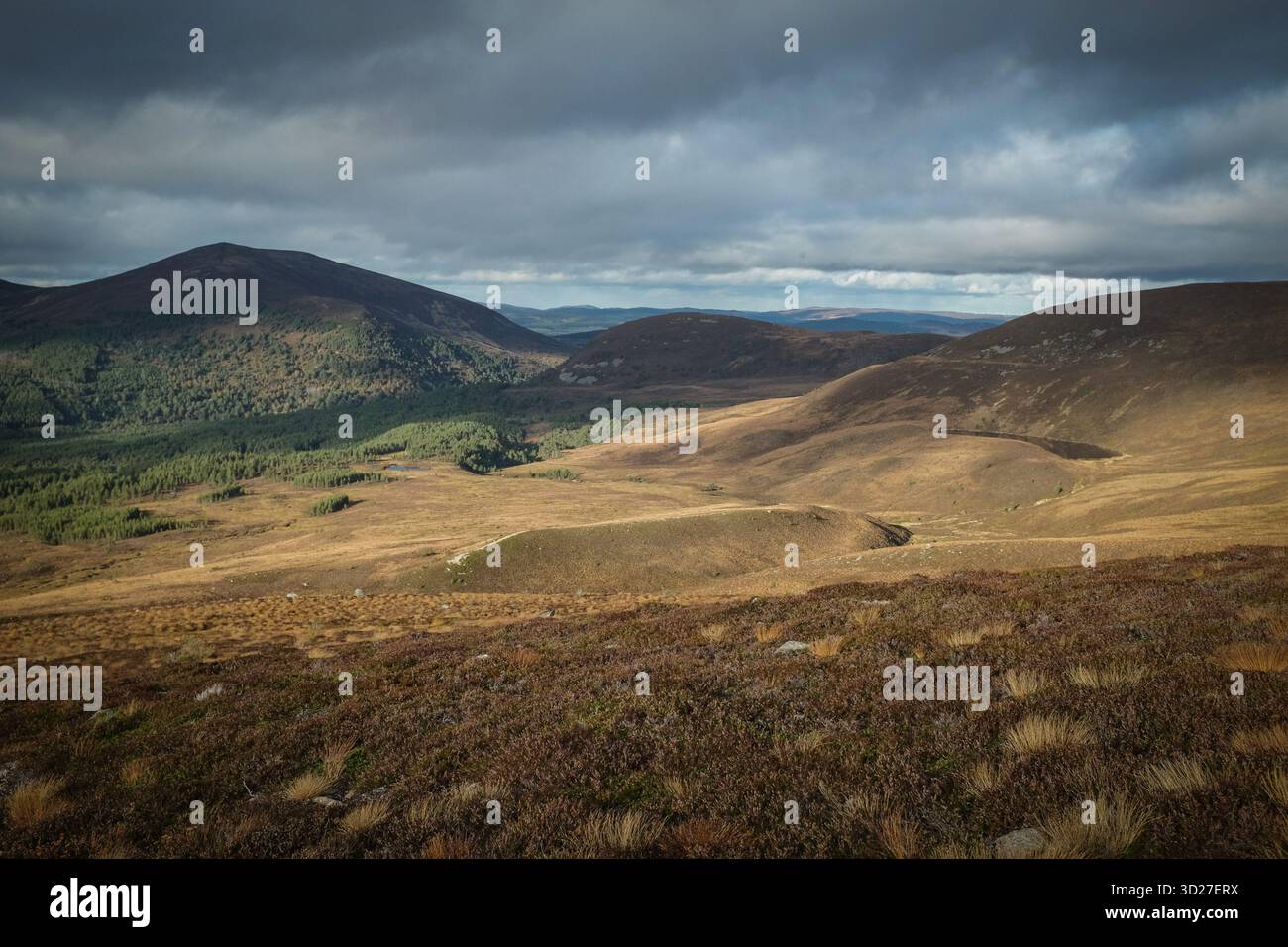 Wir gehen den Cairn Gorm in den schottischen Highlands hinauf Stockfoto