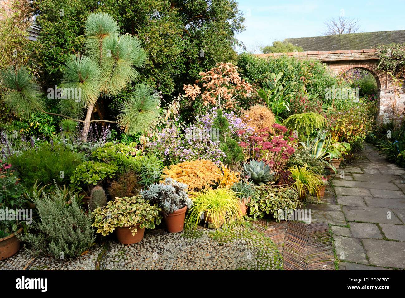 Sträucher und Terrassentöpfe im ummauerten Garten von Great Dixter, East Sussex, Großbritannien Stockfoto