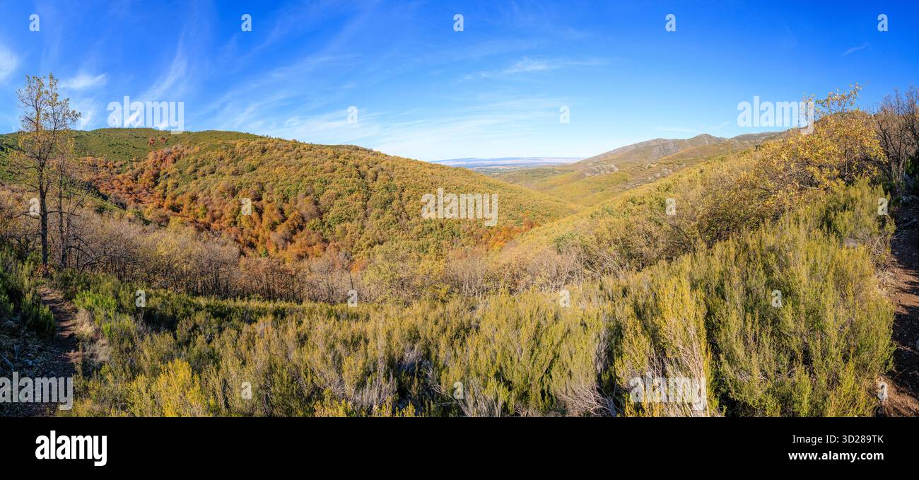 Bach Buchenwald, Naturschutzgebiet Hayedo de la Pedrosa, Herbstsaison Buchenwald Stockfoto