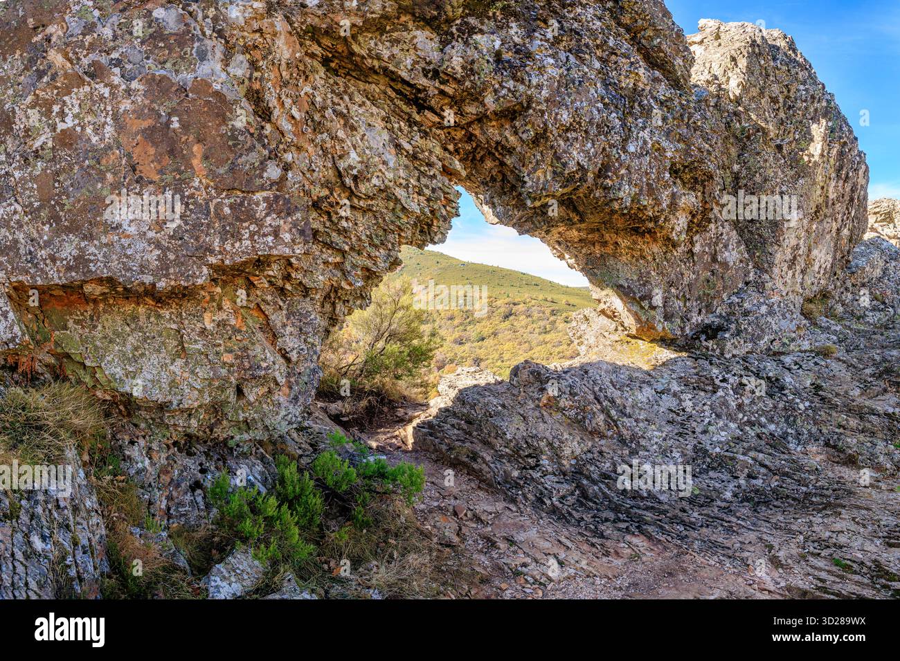 Bach Buchenwald, Naturschutzgebiet Hayedo de la Pedrosa, Herbstsaison Buchenwald Stockfoto