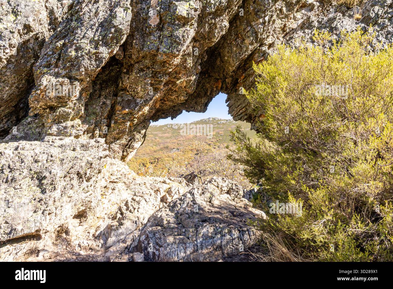 Bach Buchenwald, Naturschutzgebiet Hayedo de la Pedrosa, Herbstsaison Buchenwald Stockfoto