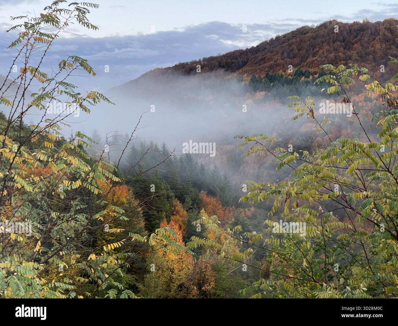 Herbstliche Berglandschaft am Grenzübergang Makaza zwischen Griechenland und Bulgarien in Ostthrakien. Nebelblick am Morgen auf bewaldete Hügel. Stockfoto