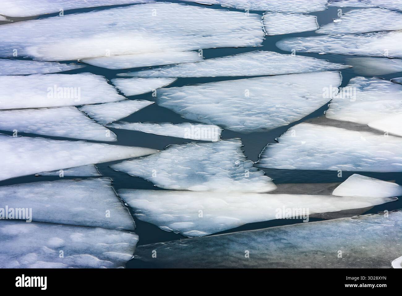 Eisplatten, die im Winter auf dem gefrorenen Oneida-See schwimmen Stockfoto