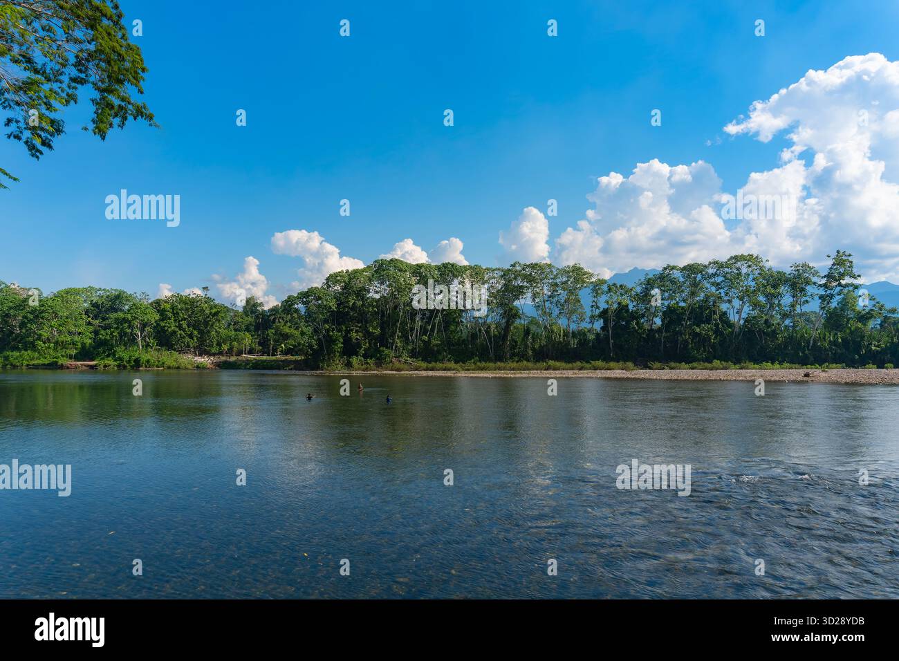 Ruhiger Fluss, spazieren Sie durch den peruanischen Dschungel und atmen Sie frische Luft ein Stockfoto