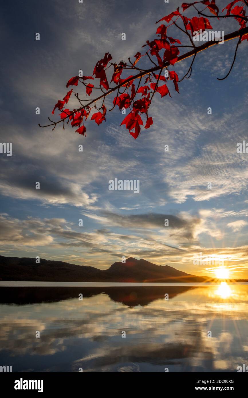 Leuchtend rotes Herbstlaub mit Bergen, See, untergehender Sonne, Maine Stockfoto