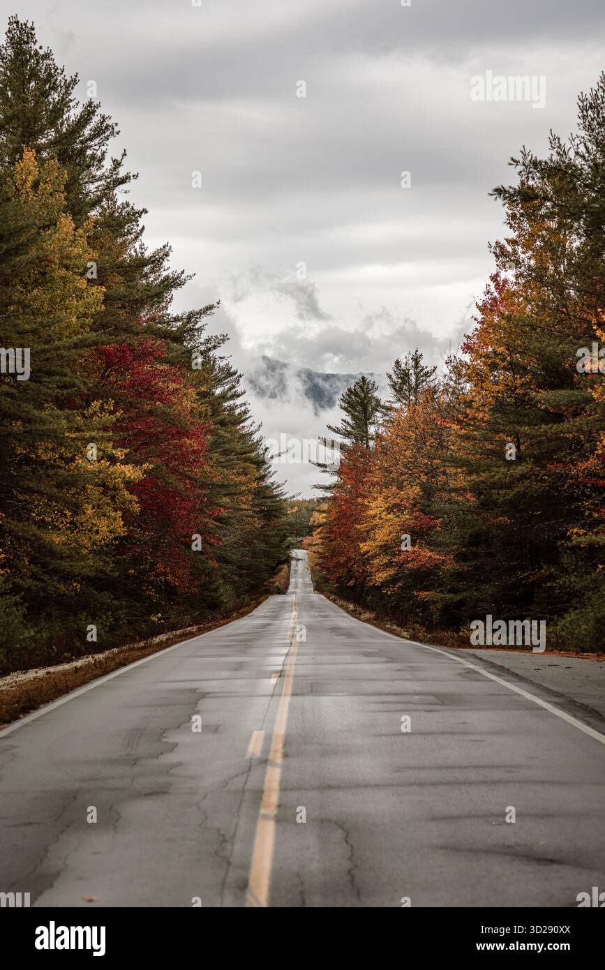 Straße durch herbstlichen Laubwald in Maine mit nebeligen Bergen Stockfoto