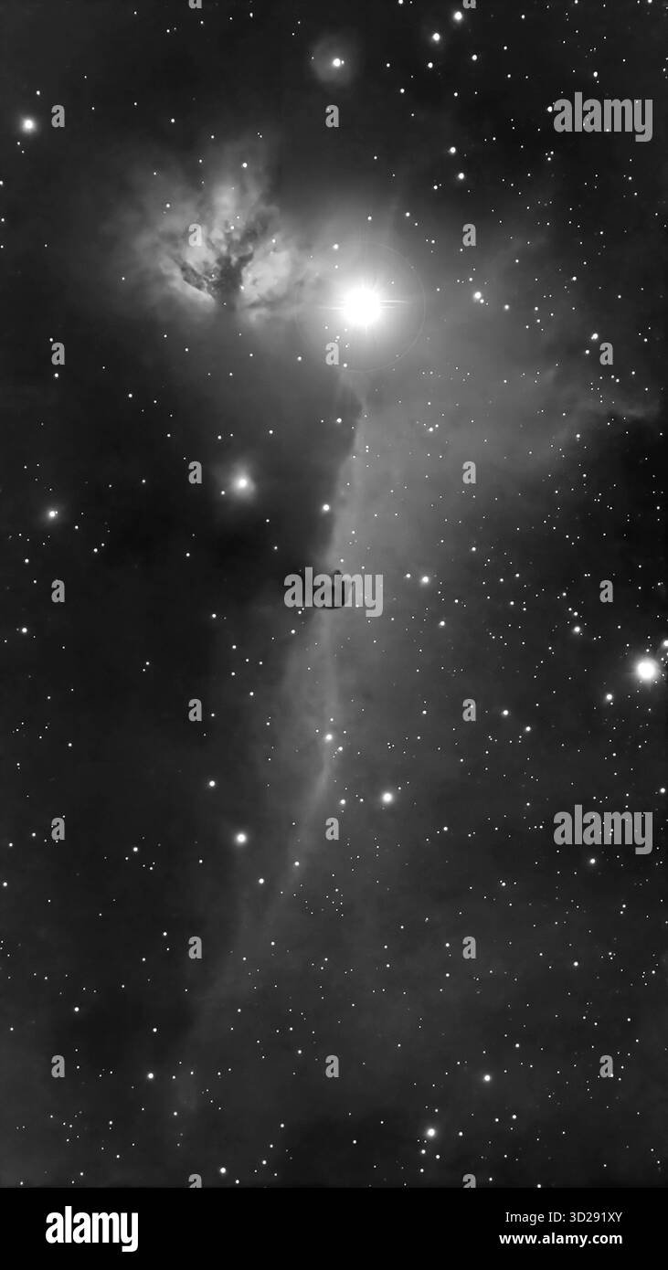 London, Großbritannien. 30. Oktober 2025. Das monochrome Foto, das zwischen 1 und 3 Uhr morgens mit einem intelligenten Teleskop über London aufgenommen wurde, zeigt den dunklen Nebel Barnard 33 - den Horsehead-Nebel - im Gürtel von Orion nahe dem hellen Stern Alnitak, dem linken unteren Stern des Orion-Gürtels. Kredit: Malcolm Park/Alamy Stockfoto