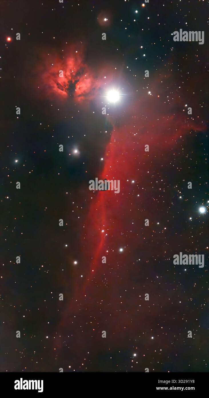 London, Großbritannien. 30. Oktober 2025. Das Farbfoto, das zwischen 1 und 3 Uhr morgens mit einem intelligenten Teleskop über London aufgenommen wurde, zeigt den dunklen Nebel Barnard 33 - den Horsehead-Nebel - im Gürtel von Orion nahe dem hellen Stern Alnitak, dem linken unteren Stern des Orion-Gürtels. Kredit: Malcolm Park/Alamy Stockfoto