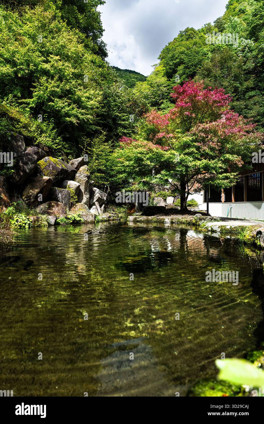 Blick auf einen ruhigen Teich, der die lebhaften Farben des Herbstlaub widerspiegelt, eine ruhige Szene eingebettet in einen üppig grünen Wald, Takayama, Gifu, Japan. Stockfoto