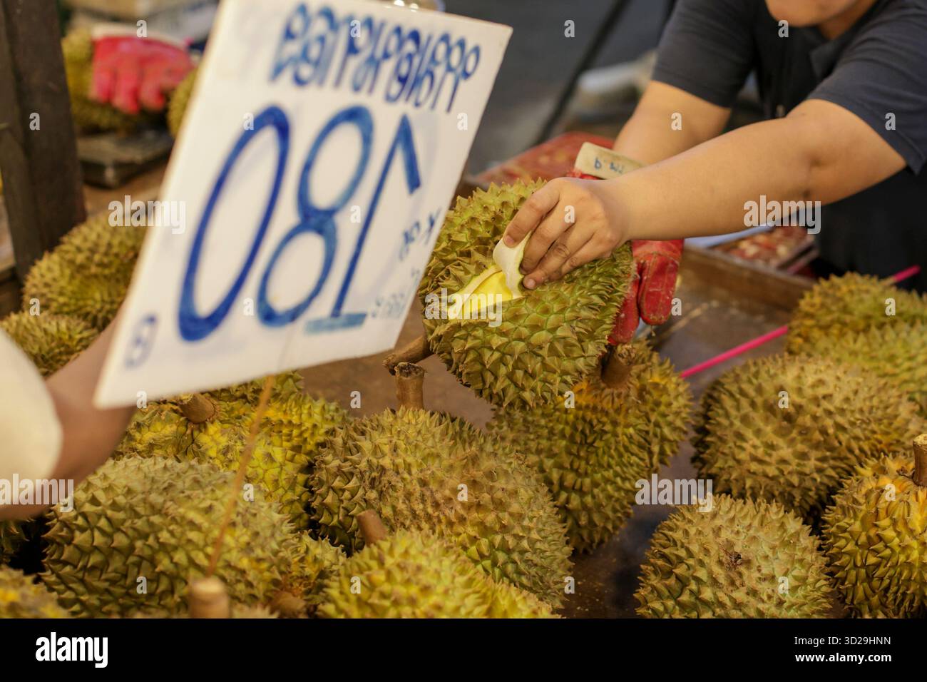 Viele Monthong Durianer auf dem Chiang Mai Market in Thailand. Thailändische Früchte von Obstplantagen werden auf dem Nachtmarkt verkauft, der bei Chi sehr beliebt ist Stockfoto