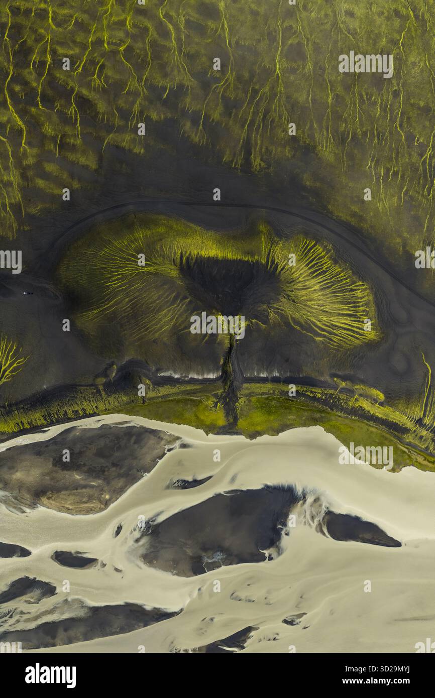 Aus der Vogelperspektive eines surrealen Wandteppichs aus grünem Moos, das sich an der dunklen Erde festhält und auf die hellen, sandigen Zöpfe der Gletscherflüsse trifft, Stockfoto