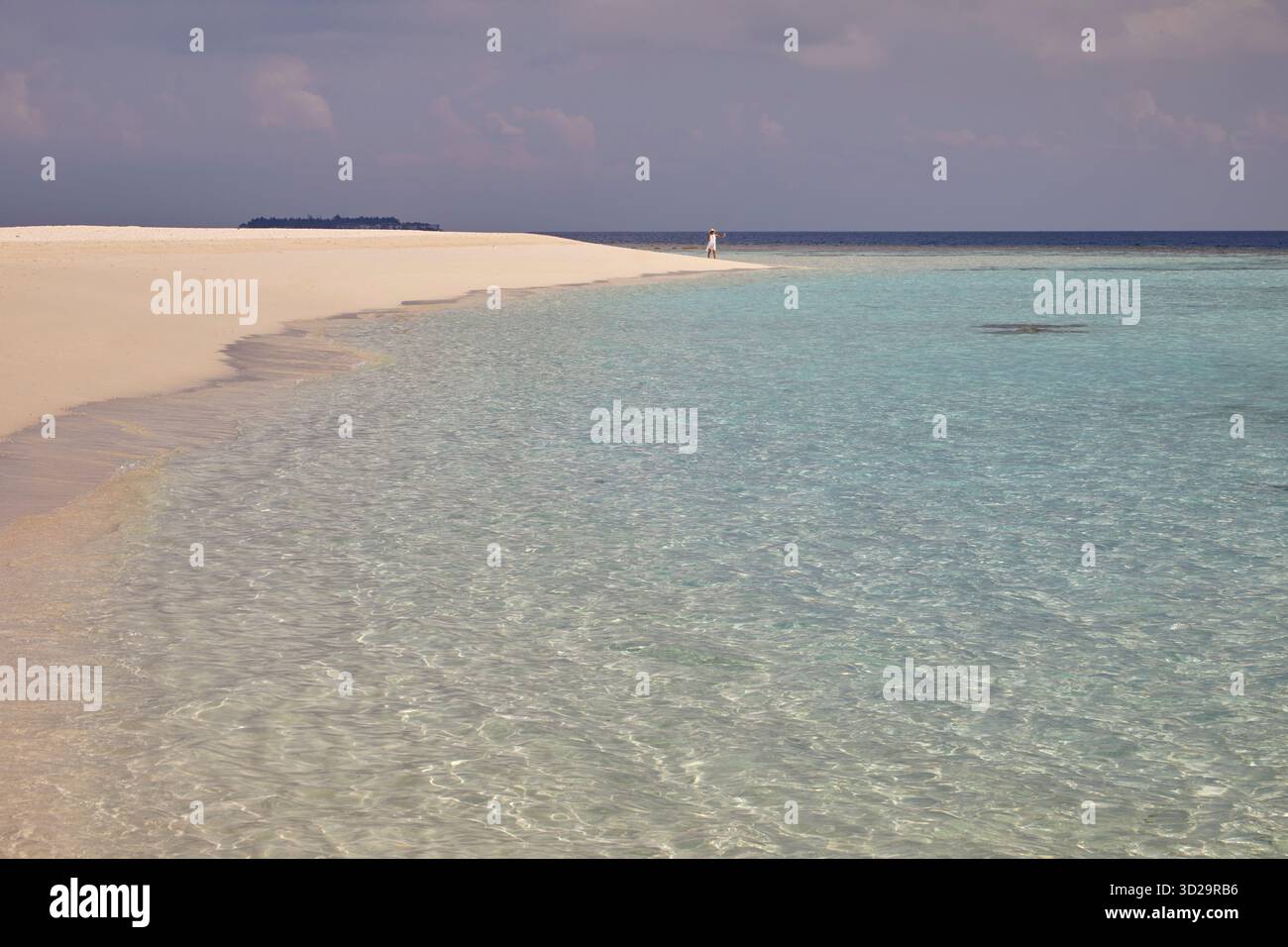 Eine Frau, die allein in hellem Sonnenlicht an einem tropischen weißen Sandstrand auf den Malediven spaziert, umspült von ruhigem aquamarinem Wasser. Stockfoto