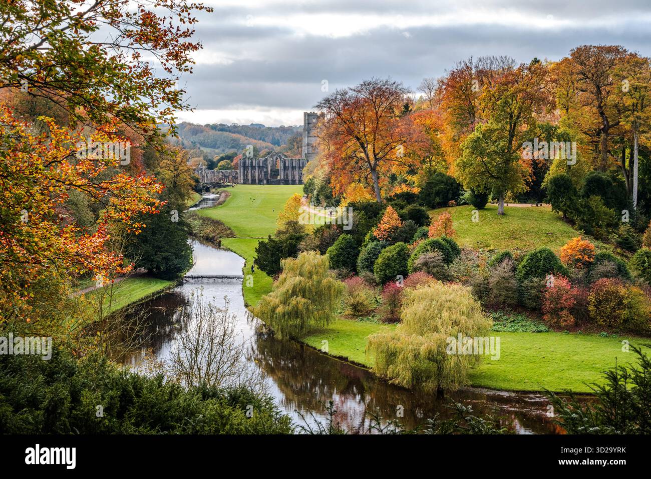 Herbstlandschaft von einem Aussichtspunkt bei Fountains Abbey, mit Bäumen, die in warmen Herbstfarben unter weichem Licht leuchten und die Abtei teilweise sichtbar ist Stockfoto