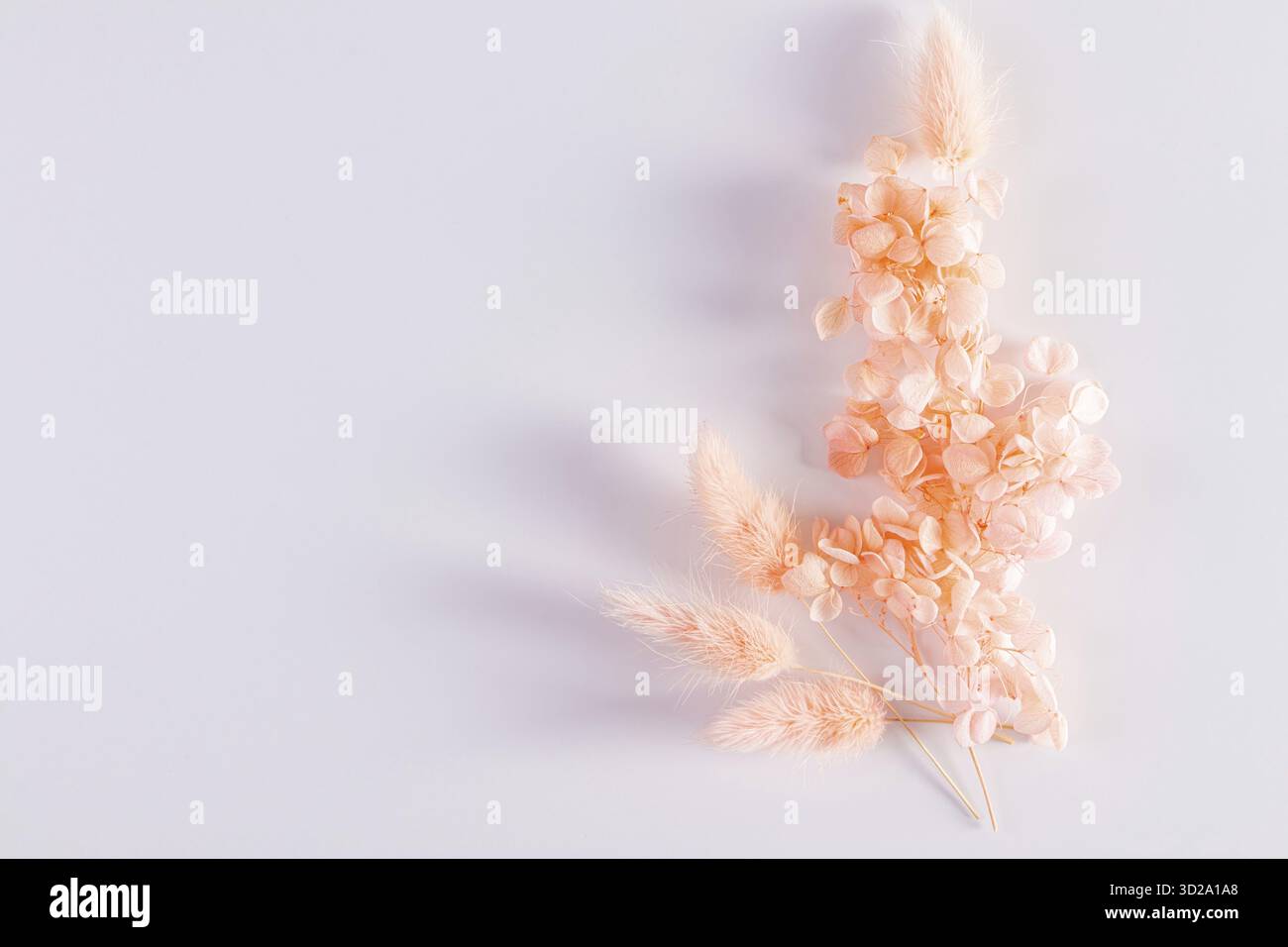Zweige von getrocknetem Gras und Pfirsichblüten in einem Blumenstrauß auf weißem Hintergrund mit einem Kopierraum. Draufsicht. Farbe des Jahres 2024 Peach Fuzz Stockfoto