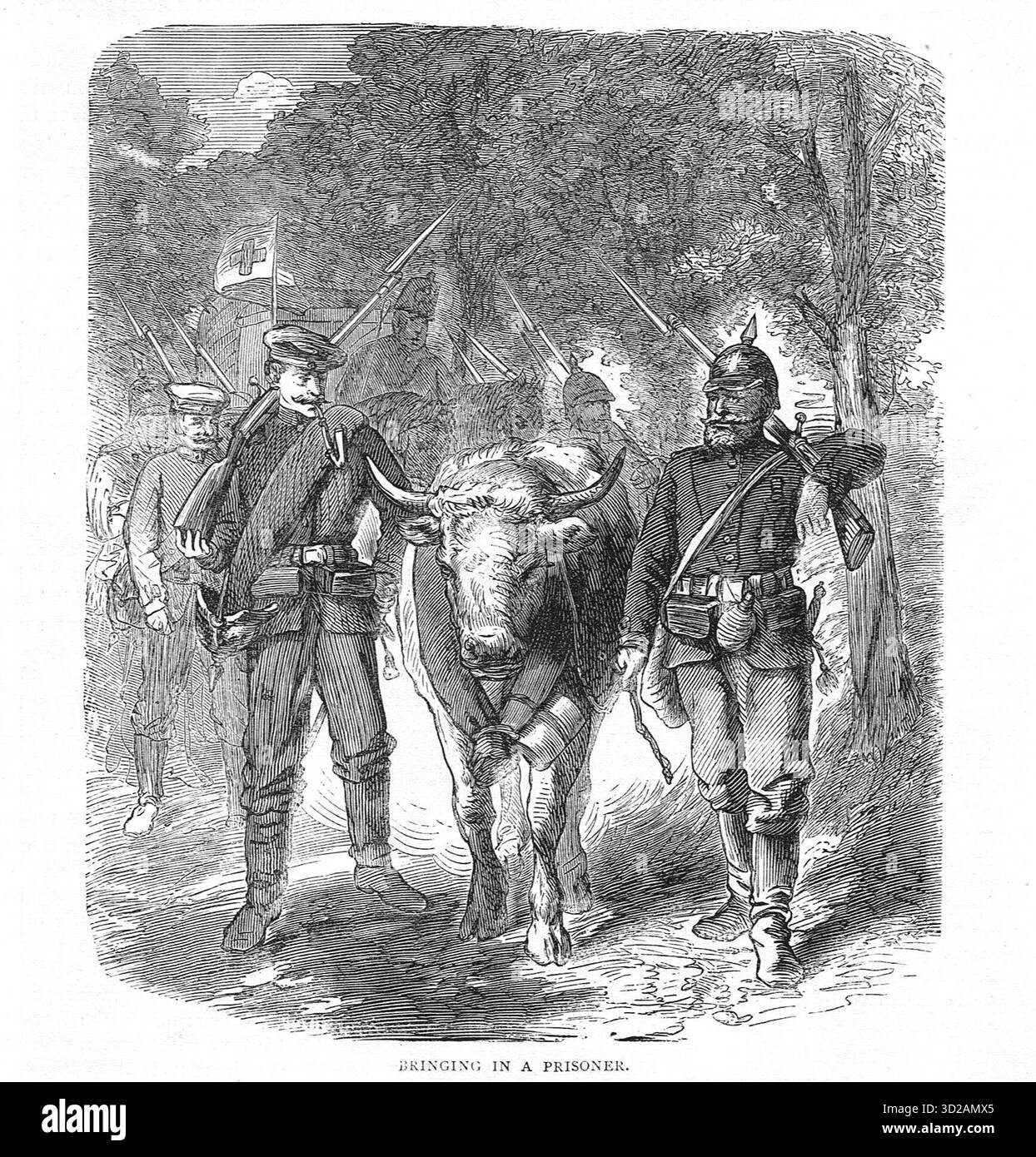 Ein Gefangener, preußische Soldaten mit einem gefangengenommenen Bullen während des Deutsch-Französischen Krieges Stockfoto