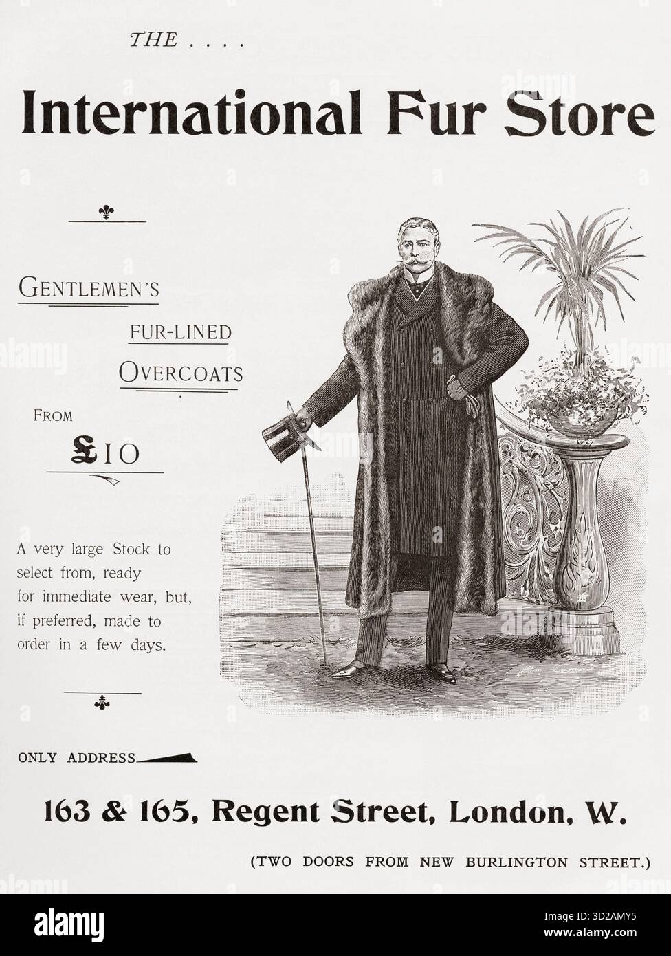 Anfang des 20. Jahrhunderts Werbung für mit Pelz gefütterte Mäntel im International Fur Store, Regent Street, London. Von The Connoiseur, A Magazine for Collectors, Januar 1902. Stockfoto