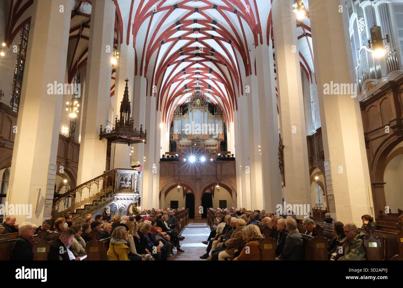 Leipzig, Deutschland. 31. Oktober 2025. Besucher der Thomaskirche sitzen in den Bänken für das Orgelkonzert. Ab 31.10. Bis zum 01.11.2025 findet dort ein großes musikalisches Projekt von Johannes lang, Organist an der Thomaskirche, statt. Innerhalb von 22 Stunden spielt lang in 14 Konzerten, die jeweils 90 Minuten dauern, die Gesamtwerke von Johann Sebastian Bach. Quelle: Sebastian Willnow/dpa/Alamy Live News Stockfoto
