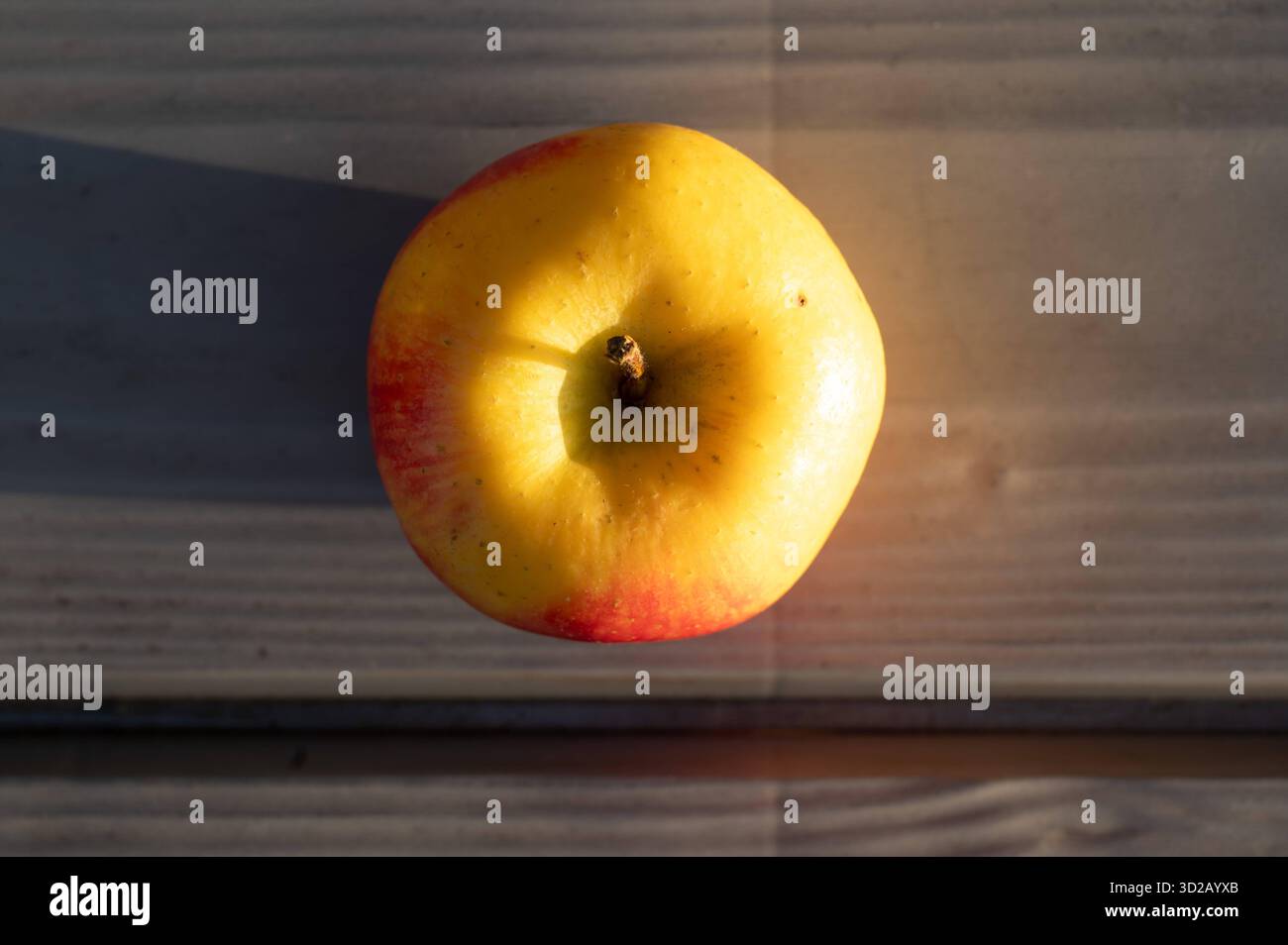 Rote und gelbe Zari-Apfelfrucht, isoliert. Brüssel, Belgien Stockfoto