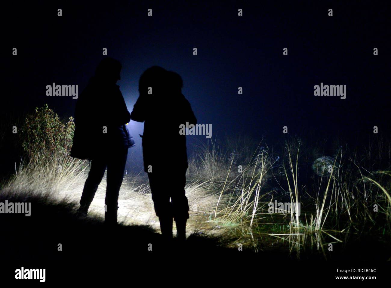 Lookong für Amphibien in Valdemanco, Madrid, Spanien Stockfoto