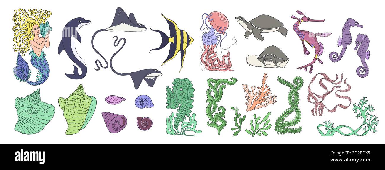 Buntes Meeresleben und Meerjungfrau Hand gezeichnete Linie Kunst Vektor Illustration Bündel. Meerestiere und Seetang Clipart groß Set Stock Vektor