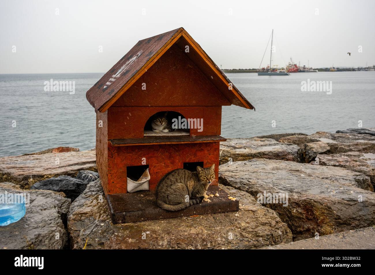 Oktober 2025: Ein hölzernes Katzenhaus für streunende Katzen am Ufer des Hafens in Pendik, Türkei. Stockfoto