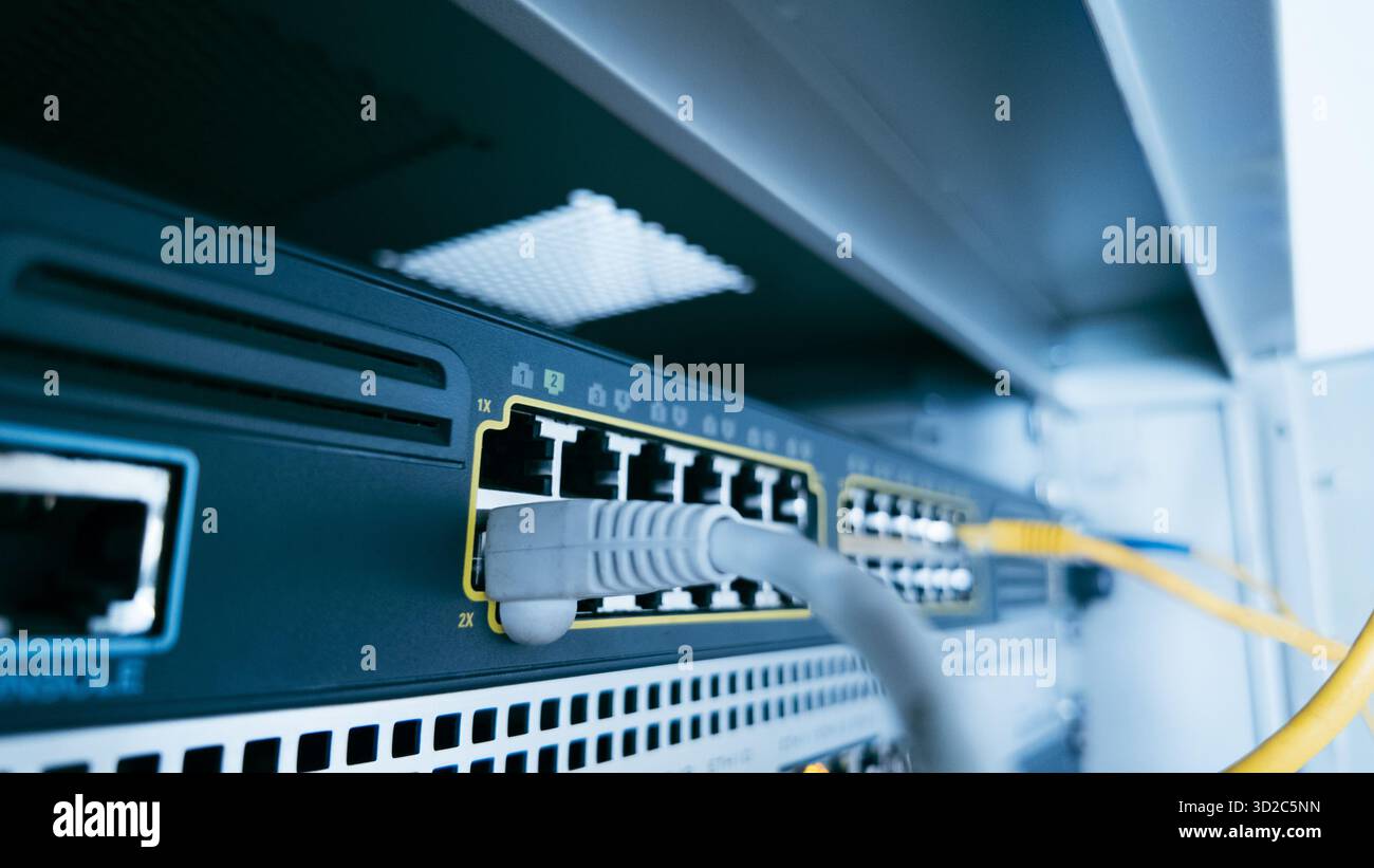 Graues ethernet-Kabel, das mit einem professionellen Switch im Serverschrank verbunden ist, symbolisiert Netzwerkverwaltung, Cybersicherheit und stabile digitale Dateninfrastruktur Stockfoto