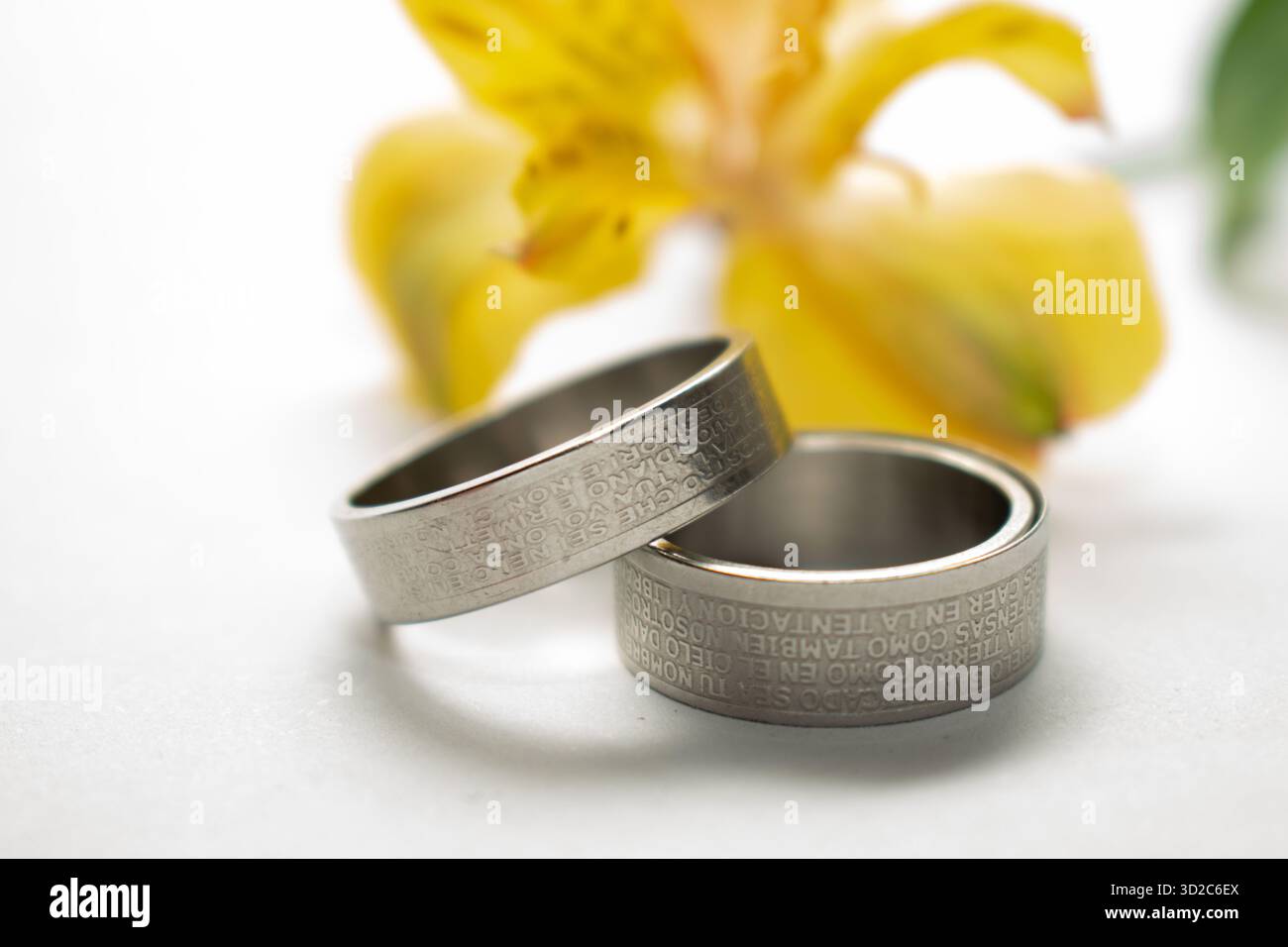 Naturinspirierter Schmuck mit Blättern Stockfoto