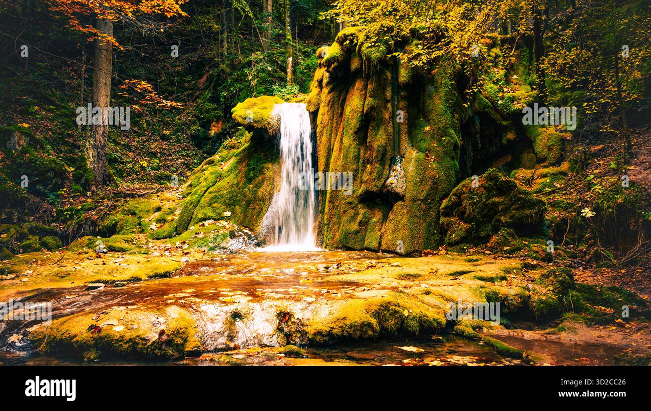 Kleiner Wasserfall, der über moosige grüne Felsen im Herbstwald fließt, umgeben von bunten Blättern und sanftem Licht Stockfoto